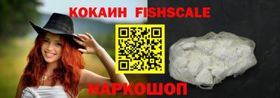 крисы Кунгур