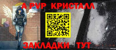 крисы Кунгур