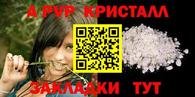 крисы Кунгур